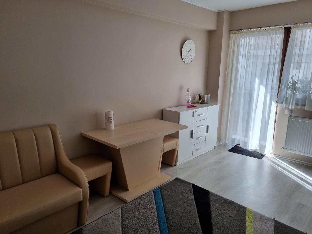 Ferienwohnung Apartament Mon Jardin - Iasi Exterior foto